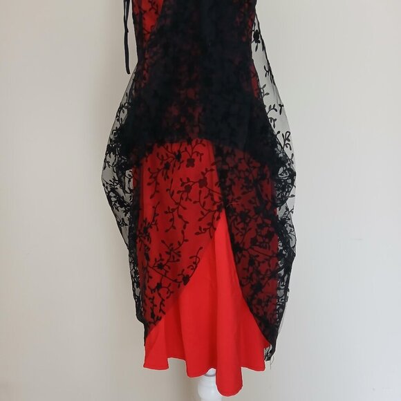 Voodoo Vixen Vintage Floral Flocked 50's Rockabilly Lace Overlay Dress Size S - Picture 7 of 10
